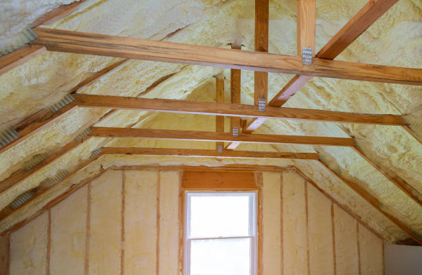 Best Garage Insulation Installation  in Humble, TX