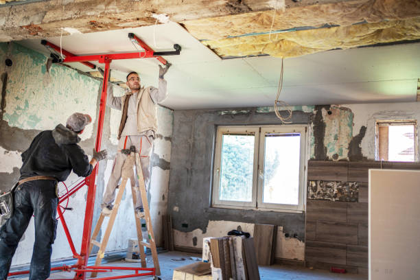 Best Home Insulation Services  in Humble, TX