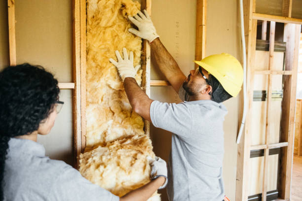 Best Home Insulation Services  in Humble, TX